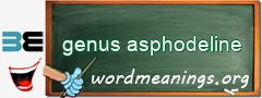 WordMeaning blackboard for genus asphodeline